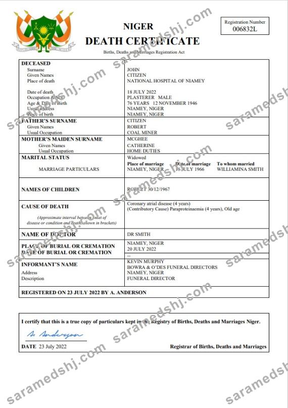 Niger death certificate Word and PDF template